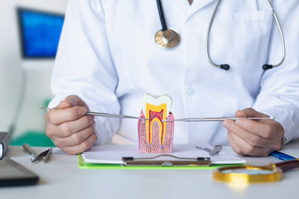 Best Emergency Root Canal Therapy in Plattsburgh, NY